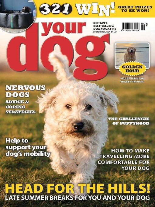 Title details for Your Dog by Warners Group Publications Plc - Available